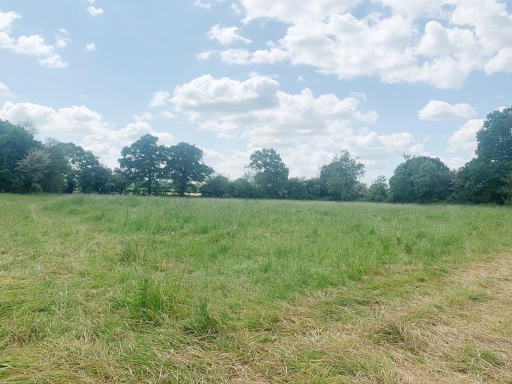 Lot: 55 - LAND WITH PLANNING FOR DAY ROOM, STABLES, TACK ROOM, TRAVELLER PITCHES AND TOURER PITCHES - General view of pasture land